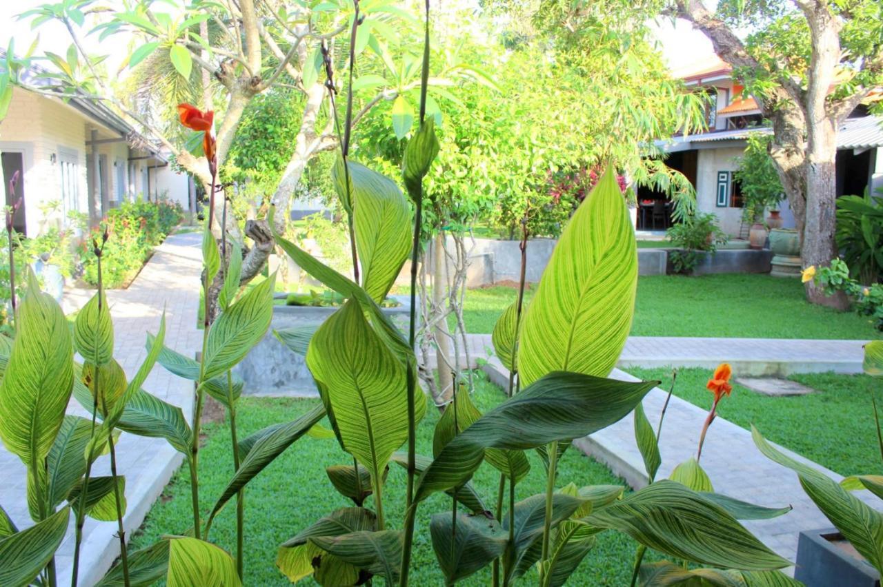 Morning Star Resorts Negombo Eksteriør bilde